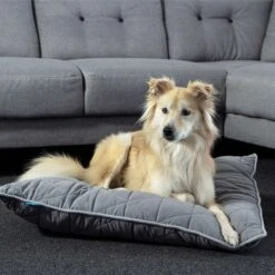ZooRoyal Haustier Kuschelkissen Luna 75x60 Cm 9 ZooRoyal Haustier Kuschelkissen Luna 75x60 Cm -Hund Sache Getchaft zooroyal kuschelkissen luna anthrazit web 4