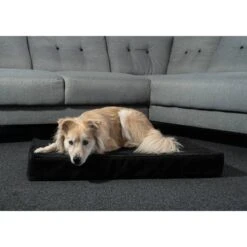 ZooRoyal Orthopädisches Premium Hundekissen Luna 13 ZooRoyal Orthopädisches Premium Hundekissen Luna -Hund Sache Getchaft zooroyal luna 6