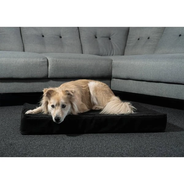 ZooRoyal Orthopädisches Premium Hundekissen Luna 8 ZooRoyal Orthopädisches Premium Hundekissen Luna – Bild 6