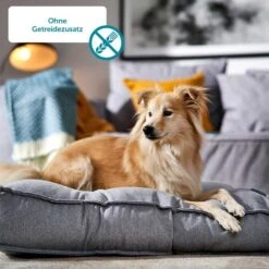 ZooRoyal Rind + Wild 9 ZooRoyal Rind + Wild -Hund Sache Getchaft zooroyal rind plus ohne getreidezusatz web1E3z6im1LZwr7