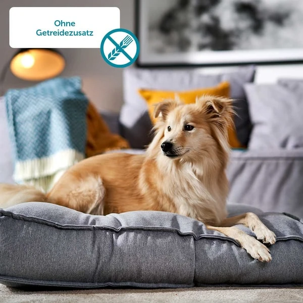 ZooRoyal Rind + Wild 5 ZooRoyal Rind + Wild – Bild 3